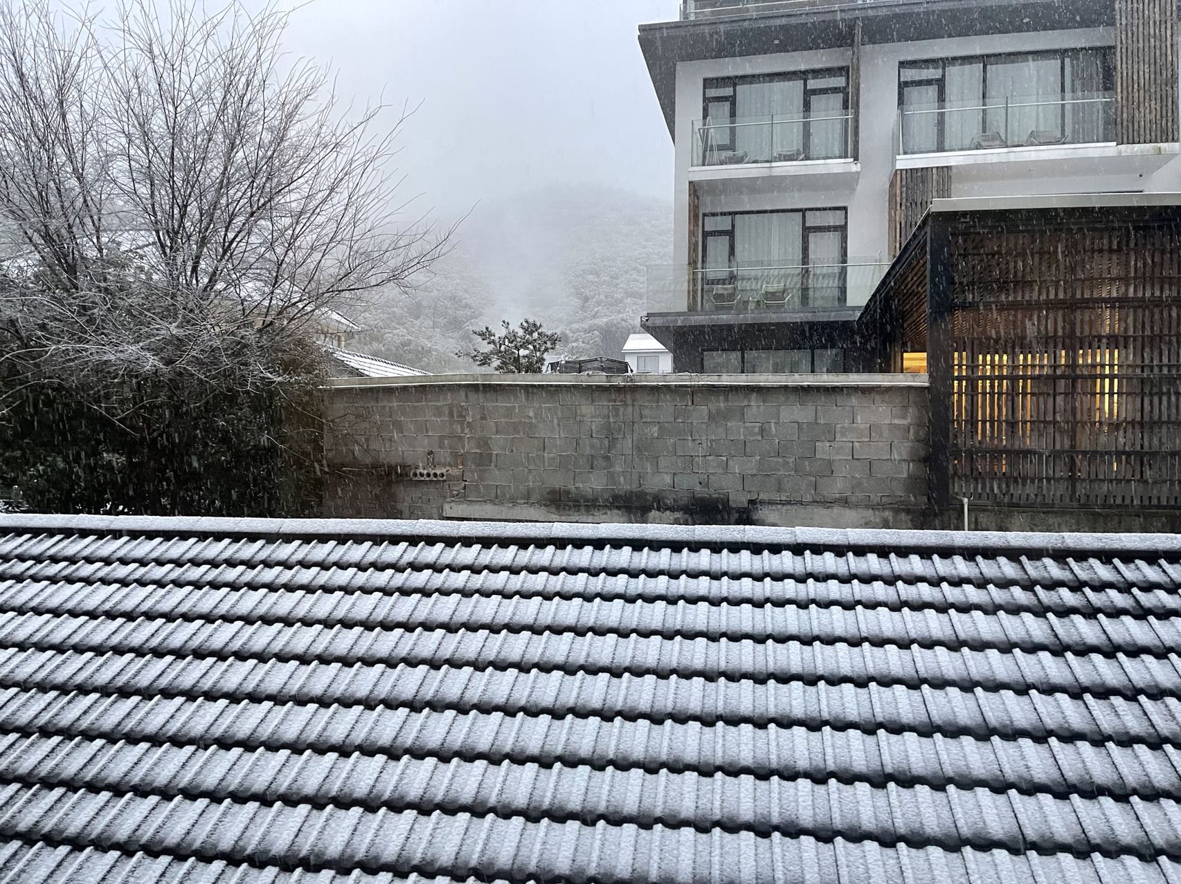 回望2021，展望2022——历经千重罪、炼就不死心>>> 申冷物流原创