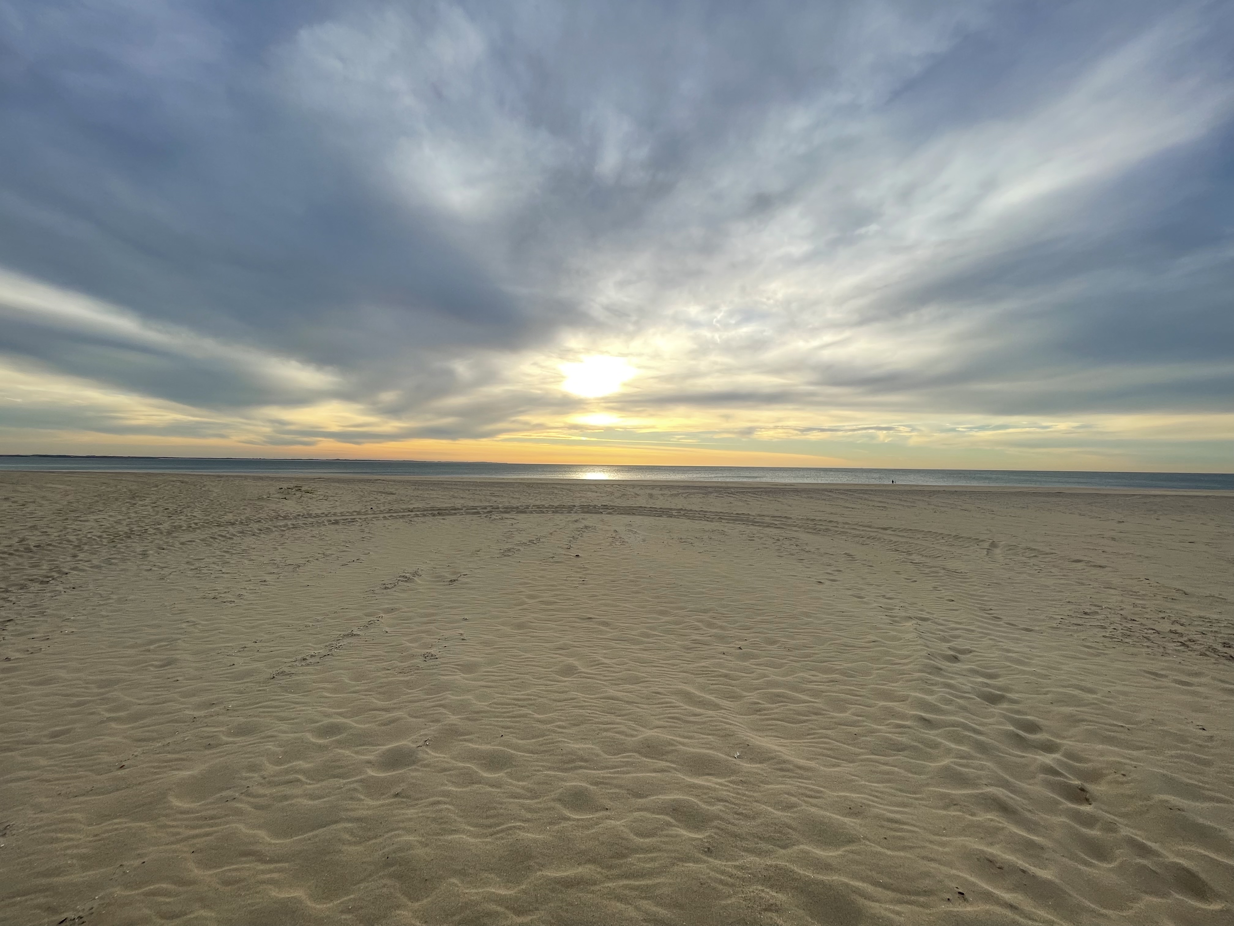 鹿特丹港，与PEEMAN运输公司聊天有感