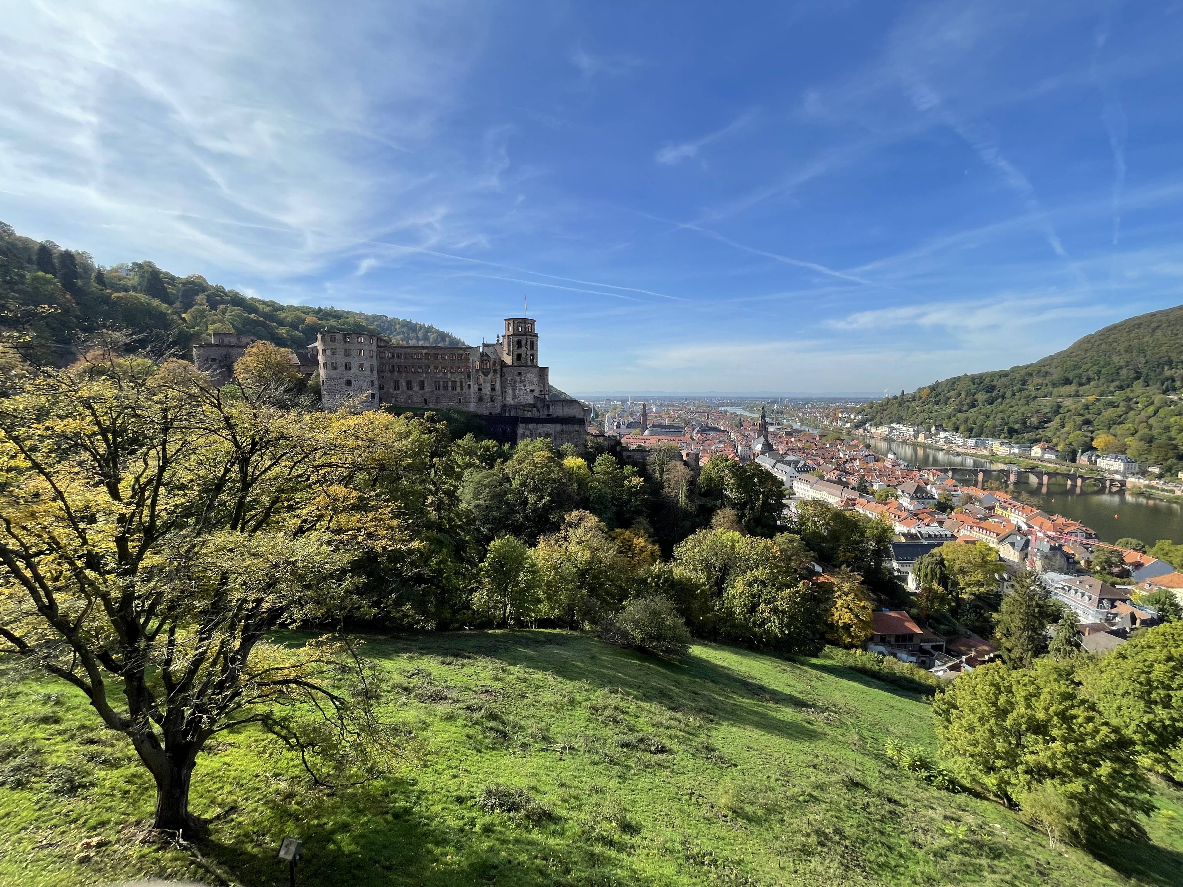 车队死亡内卷中